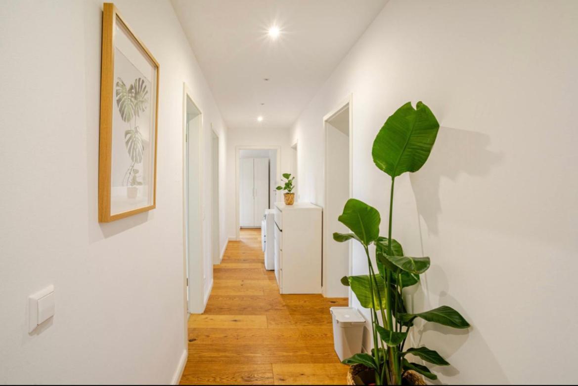 Moderne 100qm Mit Balkon *